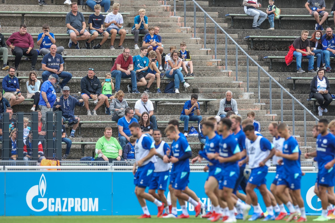 Ab sofort finden keine öffentlichen Trainings mehr beim FC Schalke 04 statt.