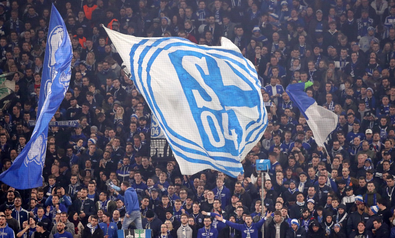 Das werden die FC Schalke 04-Fans sicherlich gerne hören.