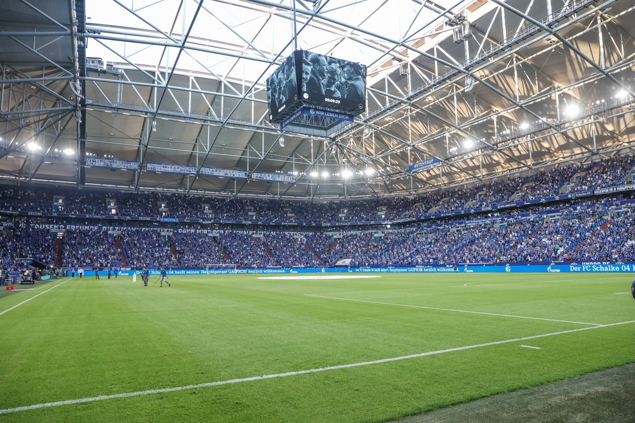 Diese Nachricht des FC Schalke 04 lässt die Fans vor Freude ausrasten.