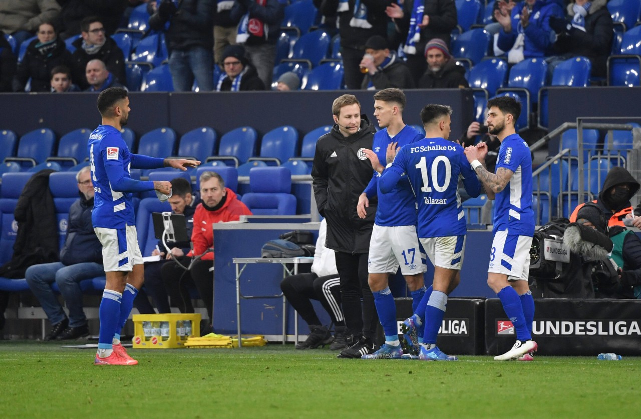 Wie wird Dimitrios Grammozis aufstellen? Im Mittelfeld des FC Schalke 04 hat der Trainer zahlreiche Möglichkeiten.