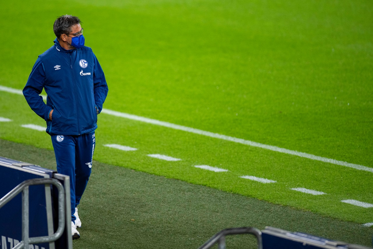 David Wagner war von 2019 bis 2020 Trainer beim FC Schalke 04.
