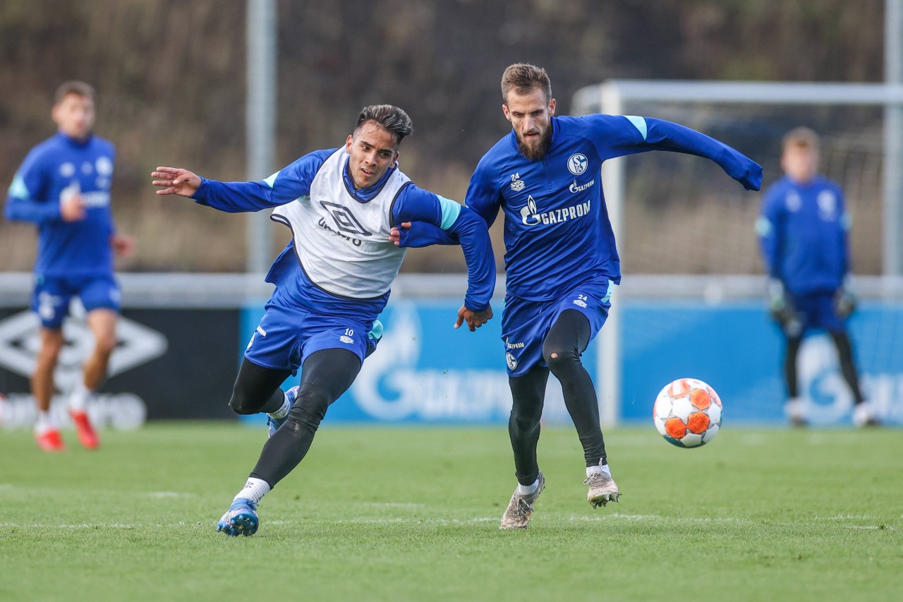 Bittere Nachricht für den FC Schalke 04 kurz vor Anpfiff gegen den 1. FC Nürnberg! Dominick Drexler fällt für die Partie aus.