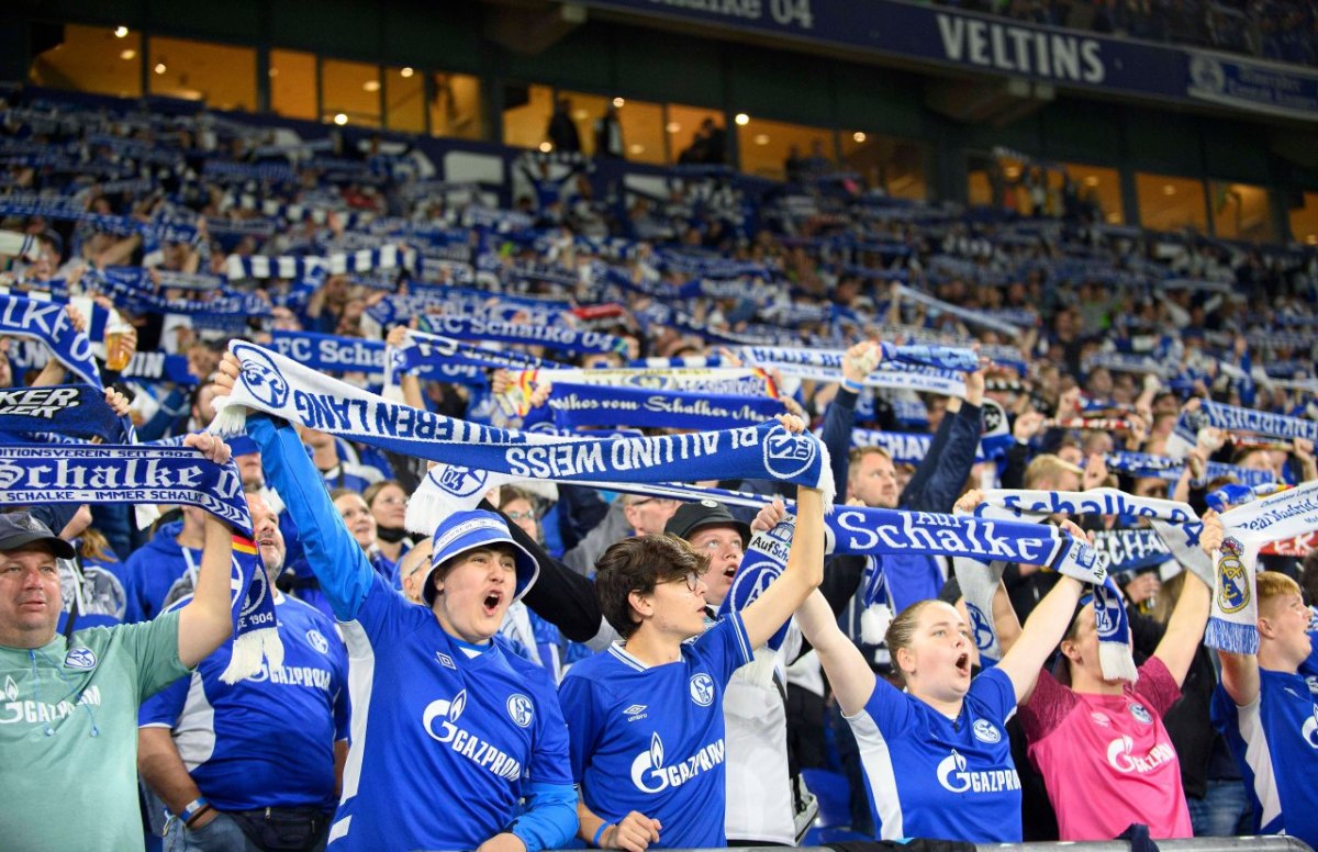 FC Schalke 04.jpg