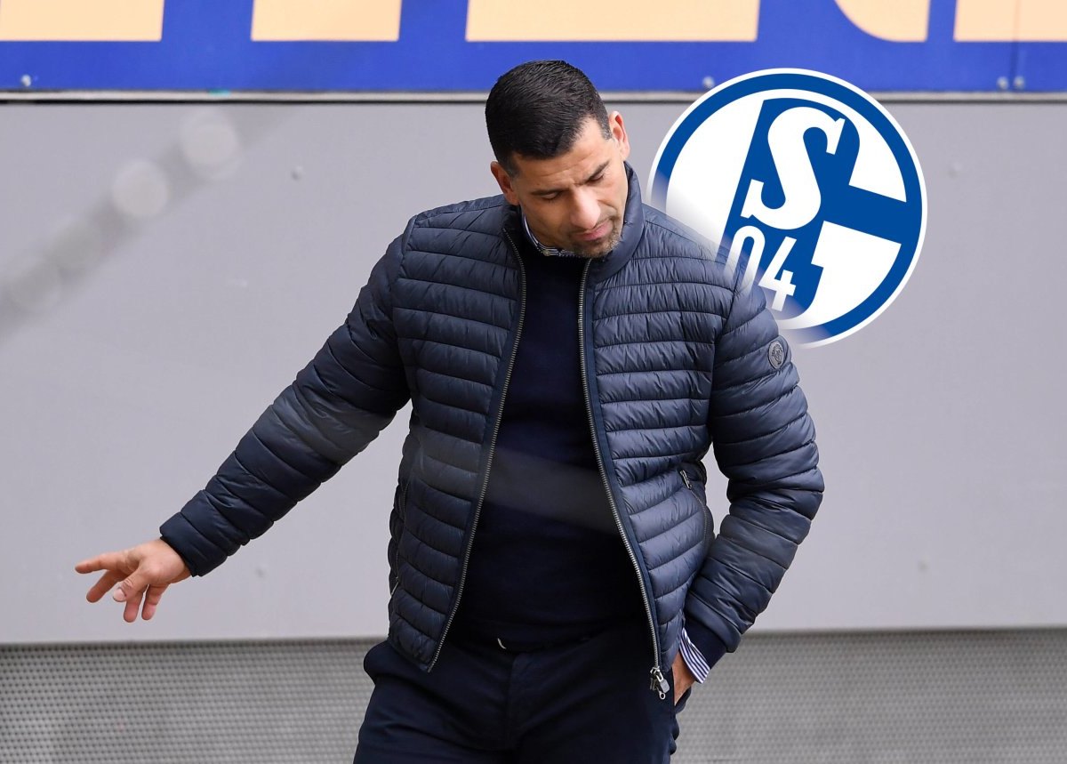 FC Schalke 04 Grammozis