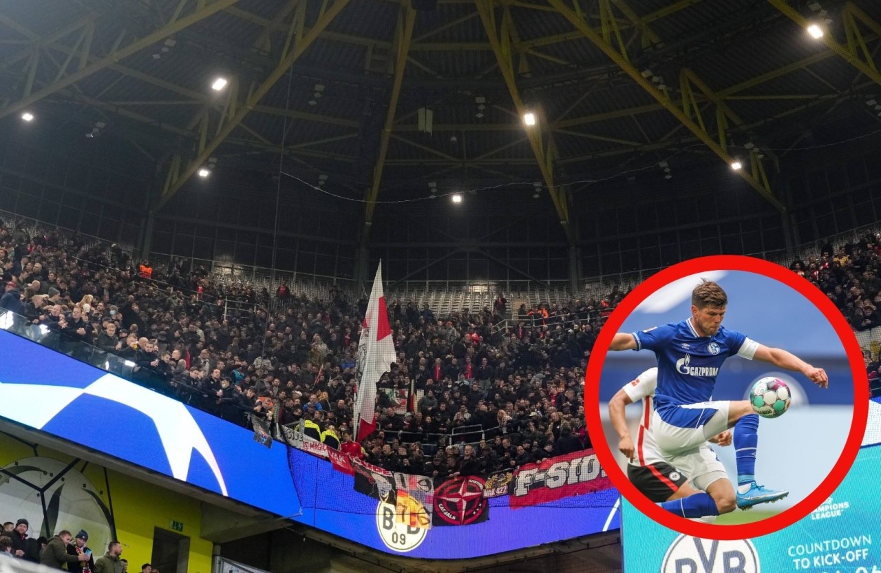 Nach dem Sieg gegen Borussia Dortmund feierten die Ajax-Fans mit einer Schalke-Legende.