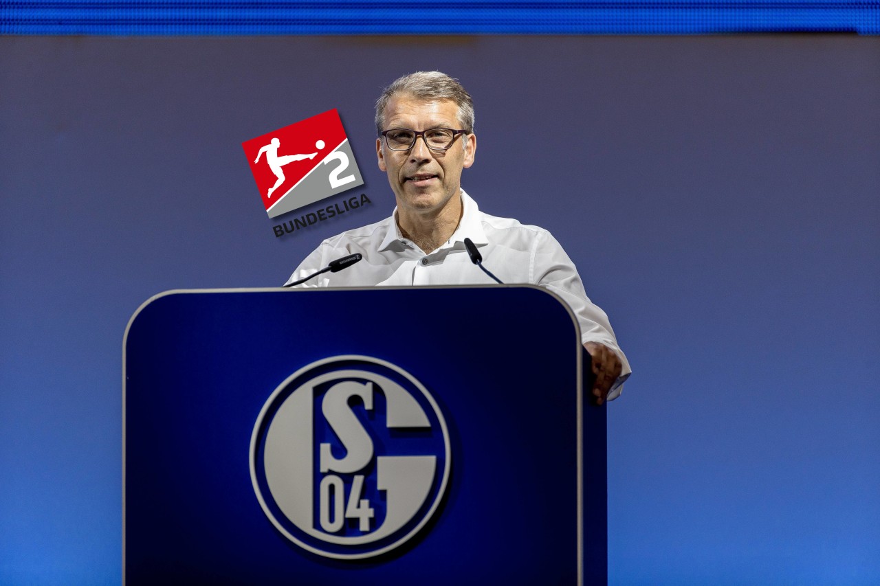 FC Schalke 04: Knäbel spricht über die Kaderplanung.