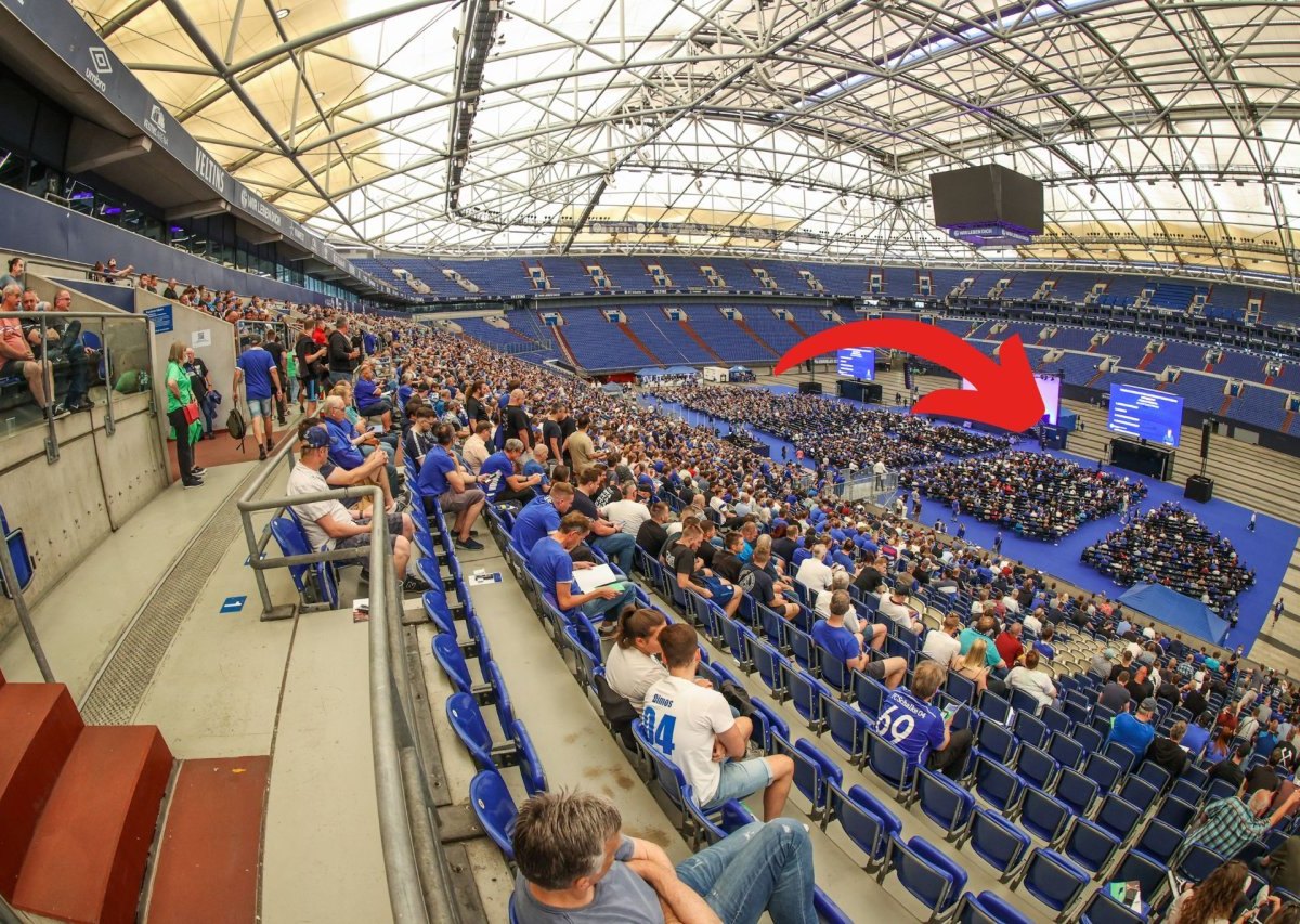 FC Schalke 04 MV.jpg