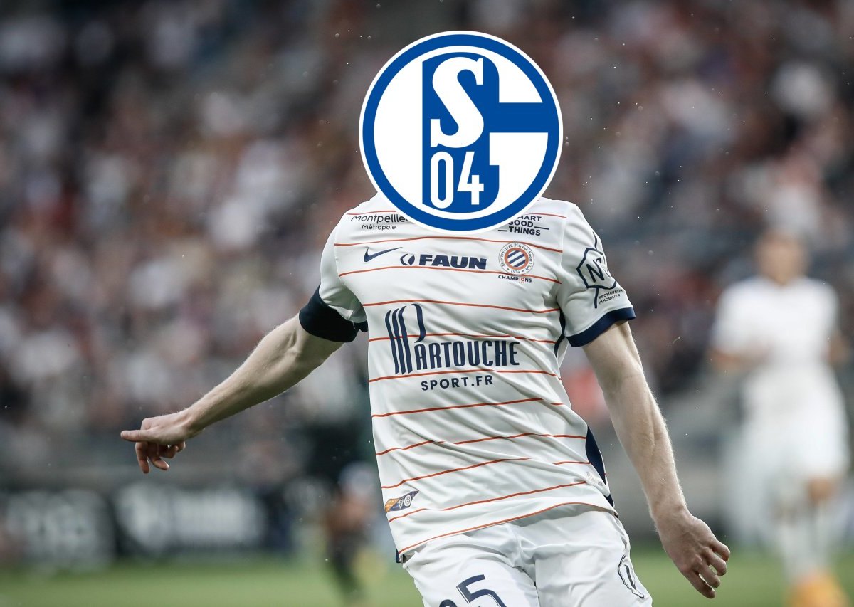 FC Schalke 04 Mollet.jpg
