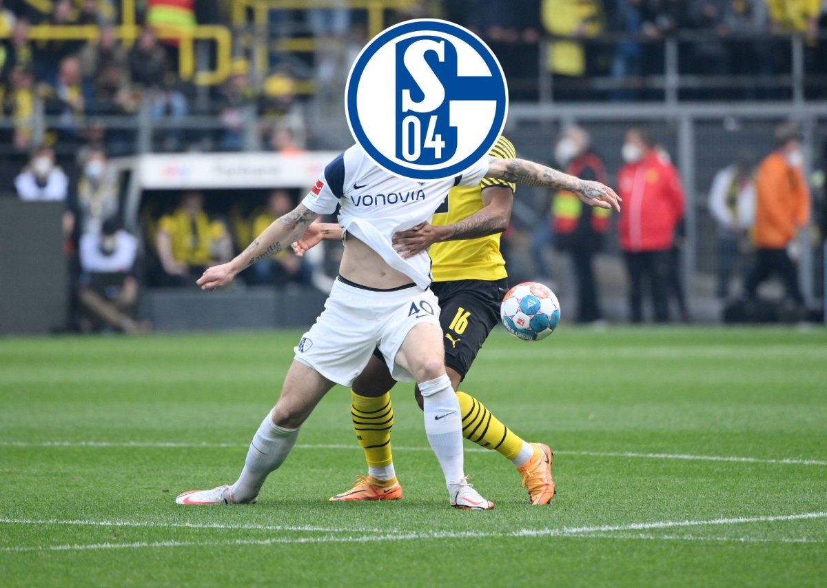 FC Schalke 04 Polter.jpg
