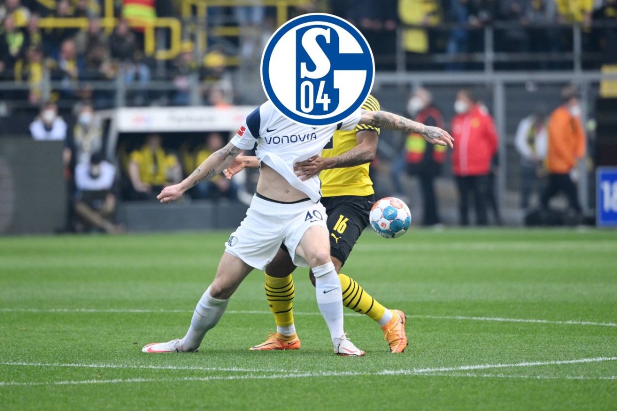 FC Schalke 04 Polter.jpg