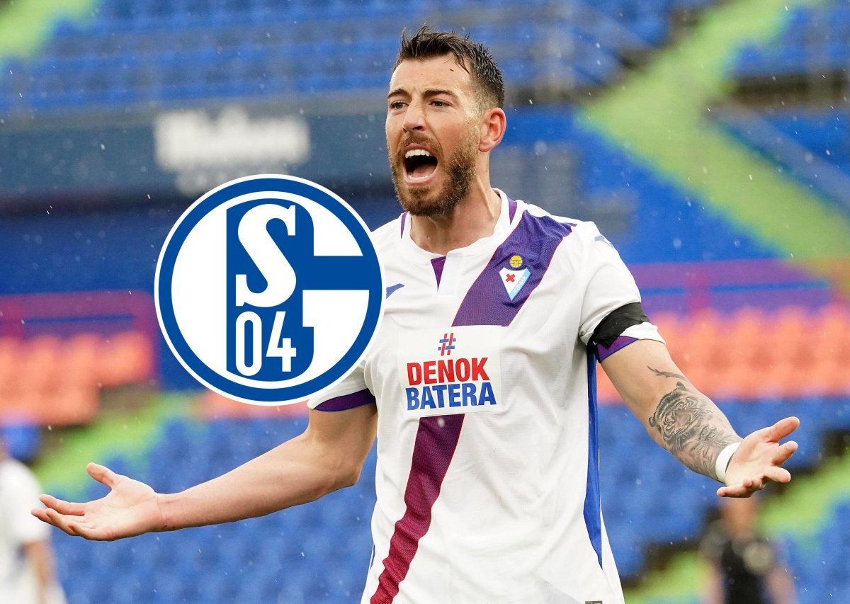 FC Schalke 04 Sergi Enrich.jpg