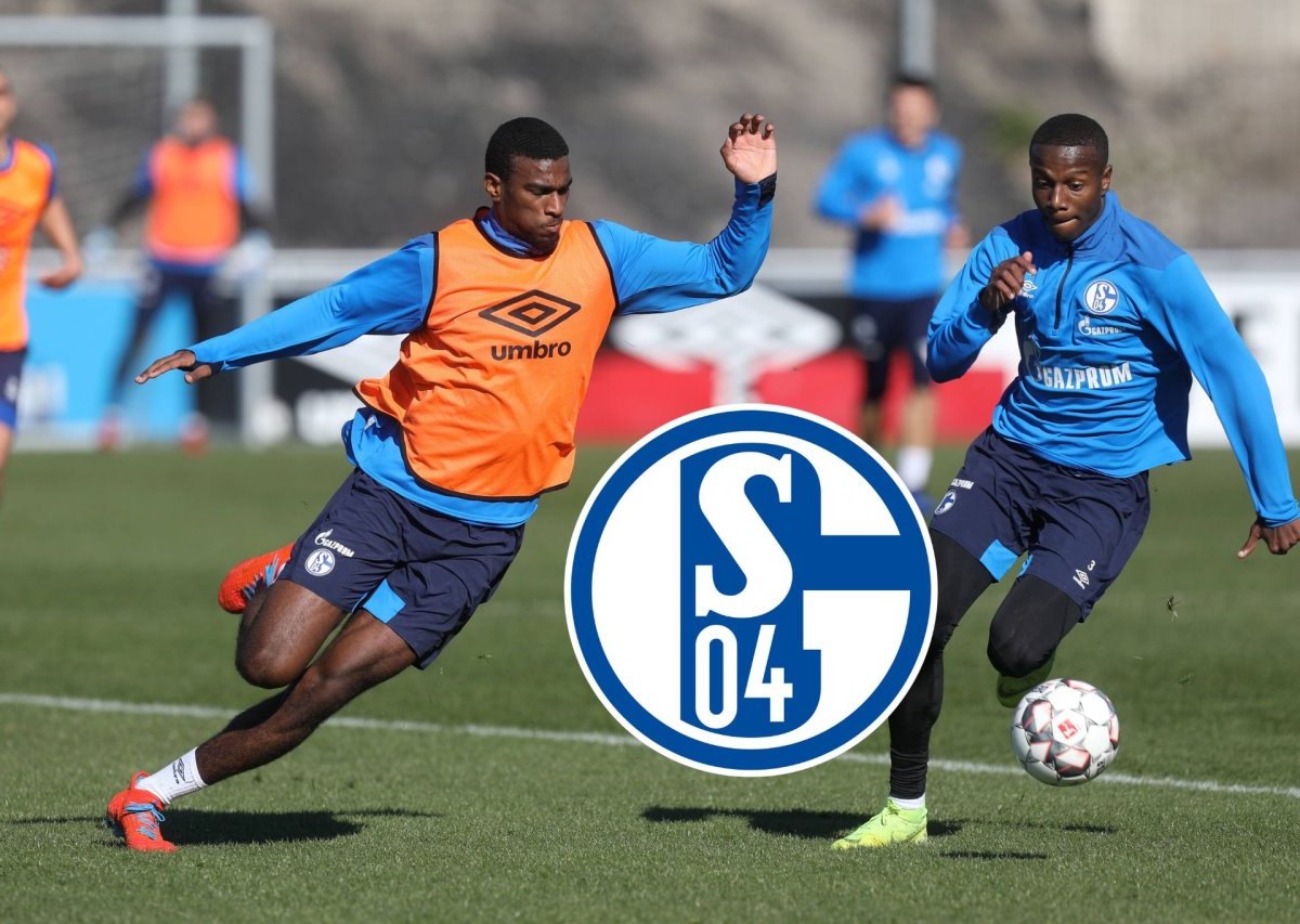 FC Schalke 04 Wright.jpg