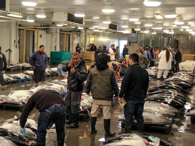 Betriebsam ist der Fischmarkt in Honolulu: Hier werden die schönsten Snapper und Thunfische versteigert.