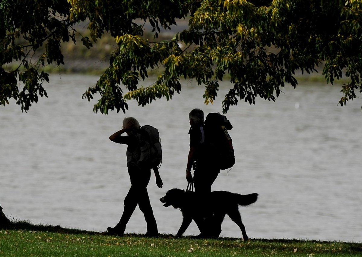 Gassigehen mit Gipfenblick Hundewanderung.jpg