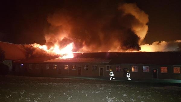 Großbrand Schweinestall.jpg