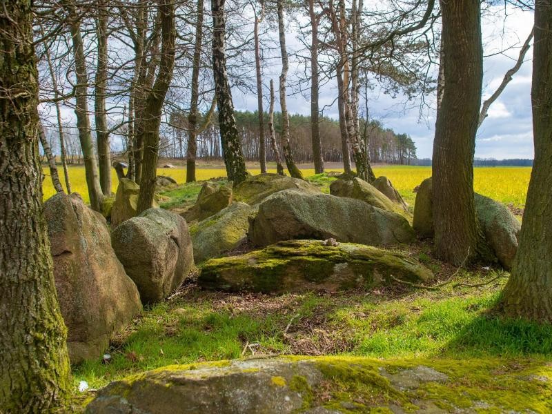 Hünengrab in der Altmark in Sachsen-Anhalt - die Gegend wirbt mit ihrer Einsamkeit.