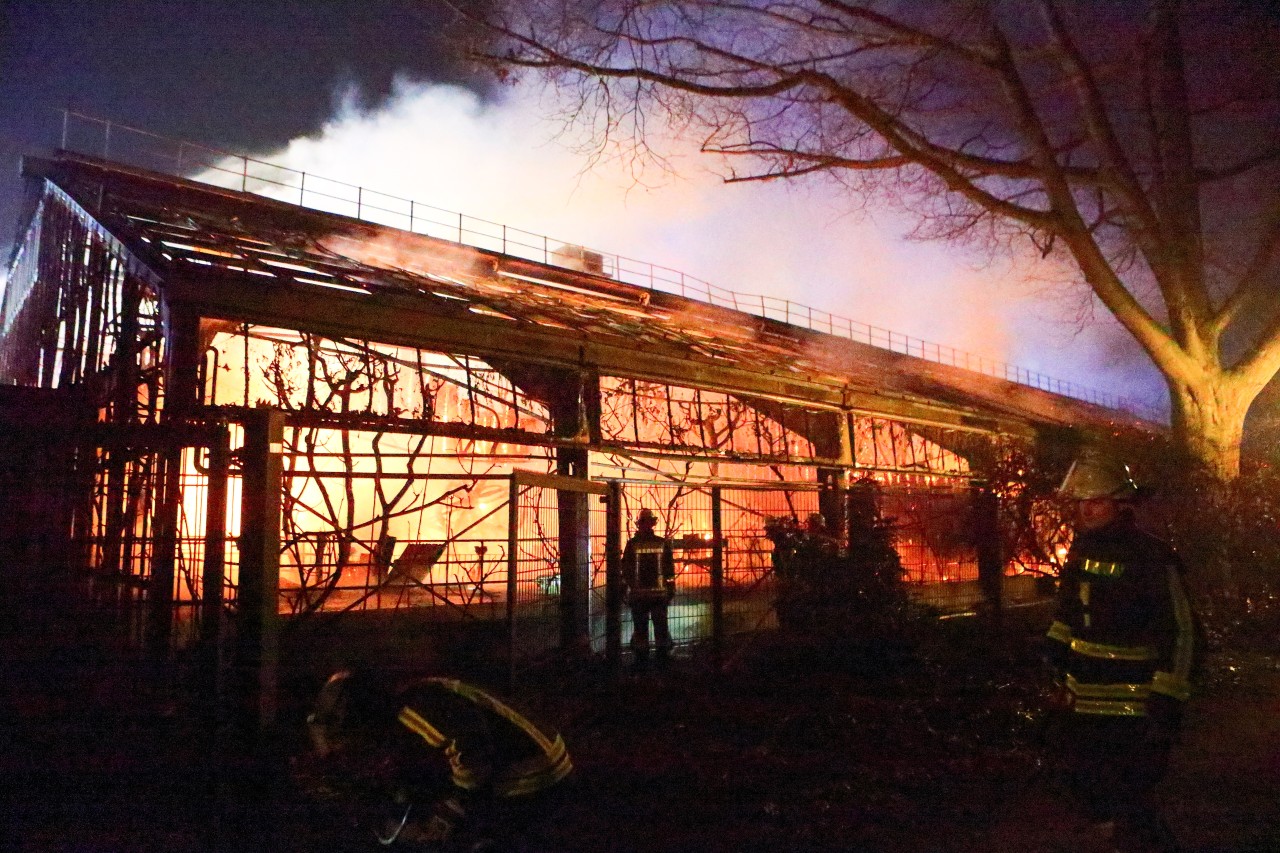 Zoo Krefeld: Das Affenhaus brannte in der Silvesternacht vor zwei Jahren komplett nieder.