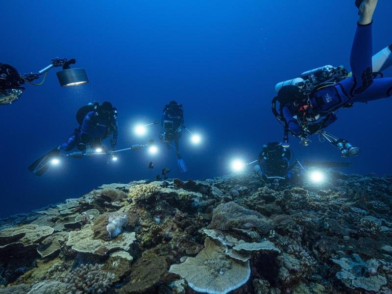 Meeresforscher haben vor der Küste Tahitis in den Tiefen des Südpazifiks ein mehr als drei Kilometer langes Korallenriff entdeckt.