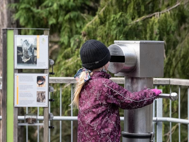 Mit dem Image als Urlaubsregion für alte Menschen kämpft der Harz seit Jahren. Das soll sich ändern.