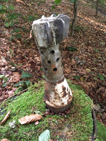 Diese Mörsergranate steckte in einem Baumstumpf.