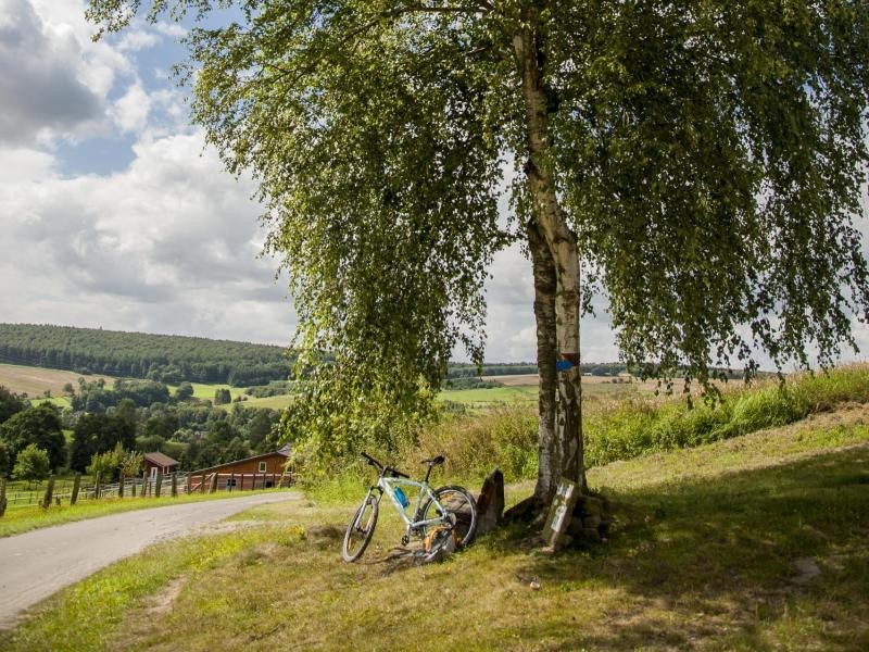 Natururlaub in Deutschland - das ist zum Beispiel auch im Naturpark Solling-Vogler in Niedersachsen möglich.