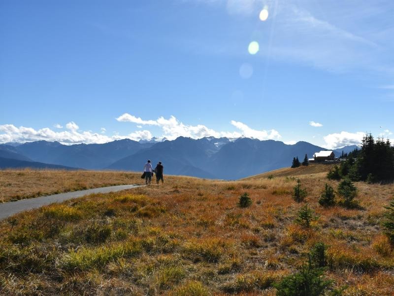 Wandern im Olympic National Park: Hurricane Ridge bei Port Angeles bietet sich als Start- und Zielort an.