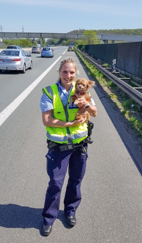Eine Beamtin der Autobahnpolizei Hagen präsentiert den geretteten Hund.