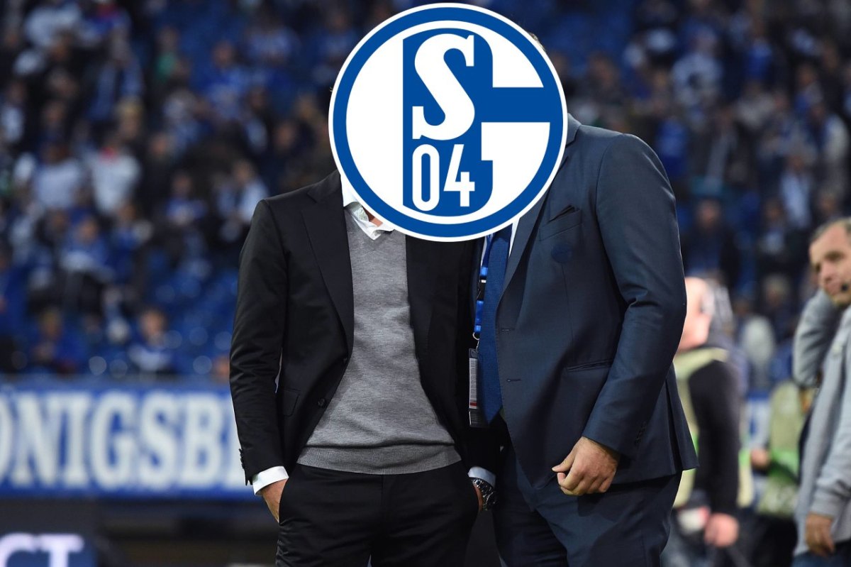 Schalke 04 Spiegel .jpg