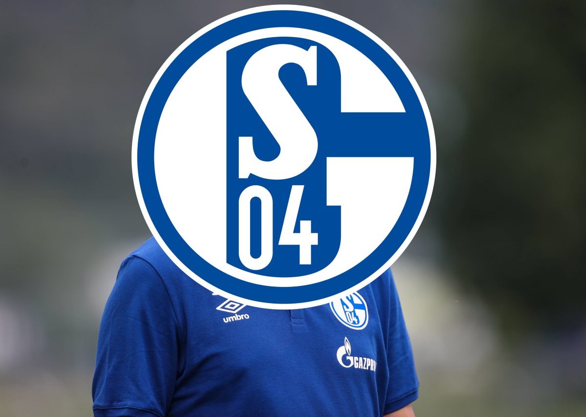 Schalke 04 Wagner.jpg