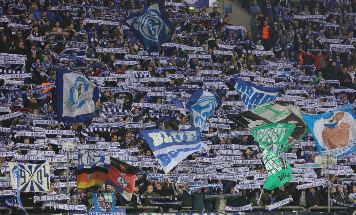Schalke Fans.jpg