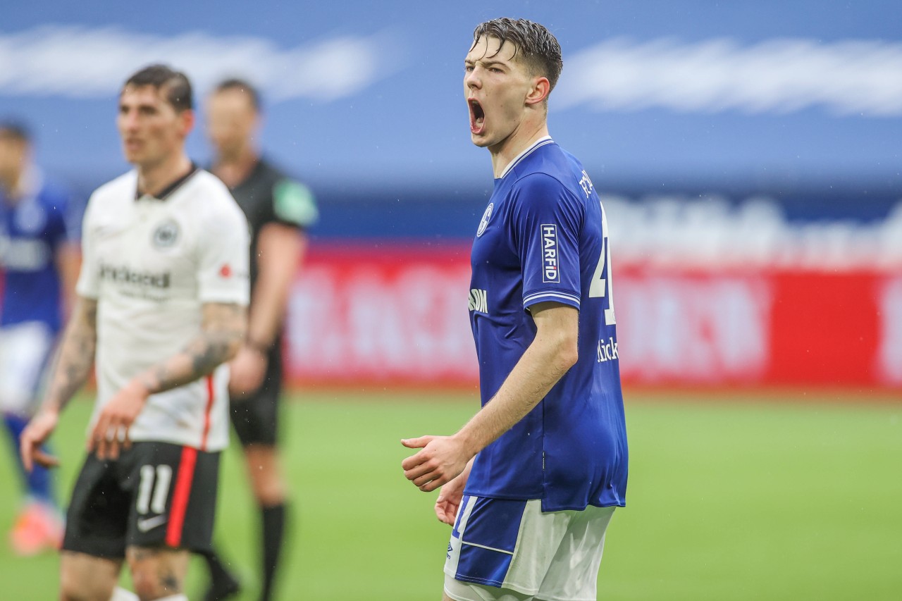 Schalke 04 wird im kommenden Jahr zu den Zugpferden der zweiten Liga gehören.