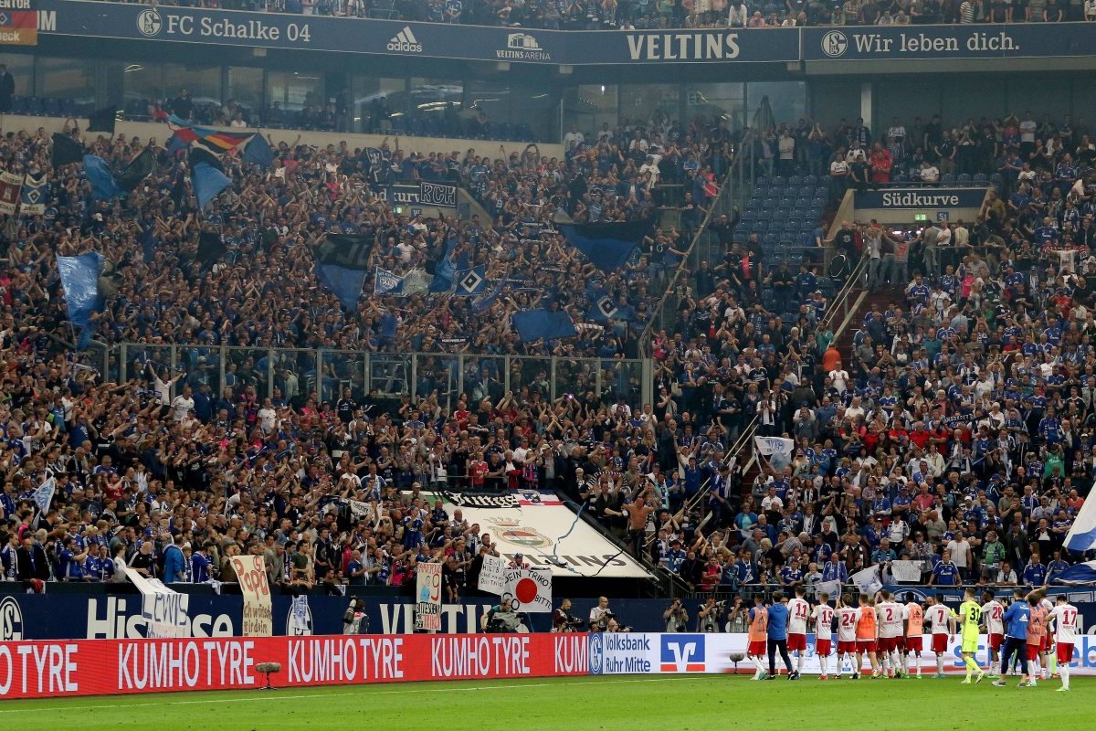 Schalke Hooligans.jpg