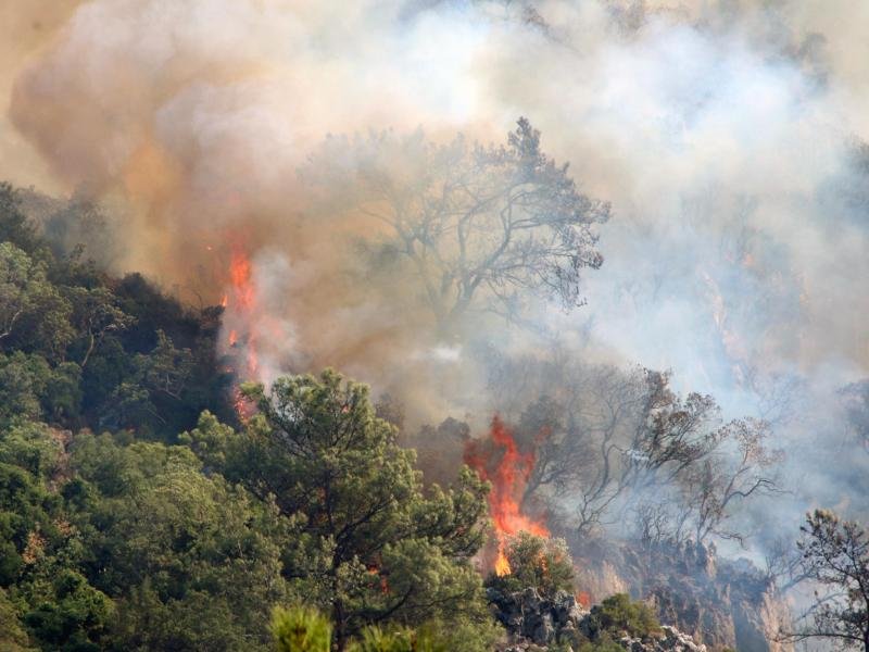 Schon im vergangenem Jahr hatte es in der Urlaubsregion Marmaris im Südwesten der Türkei starke Waldbrände gegeben. Nun sind dort erneut Feuer ausgebrochen.