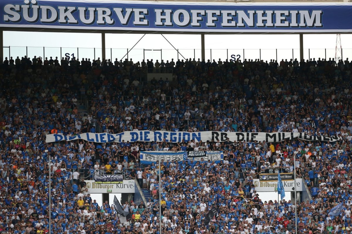 TSG Hoffenheim.jpg