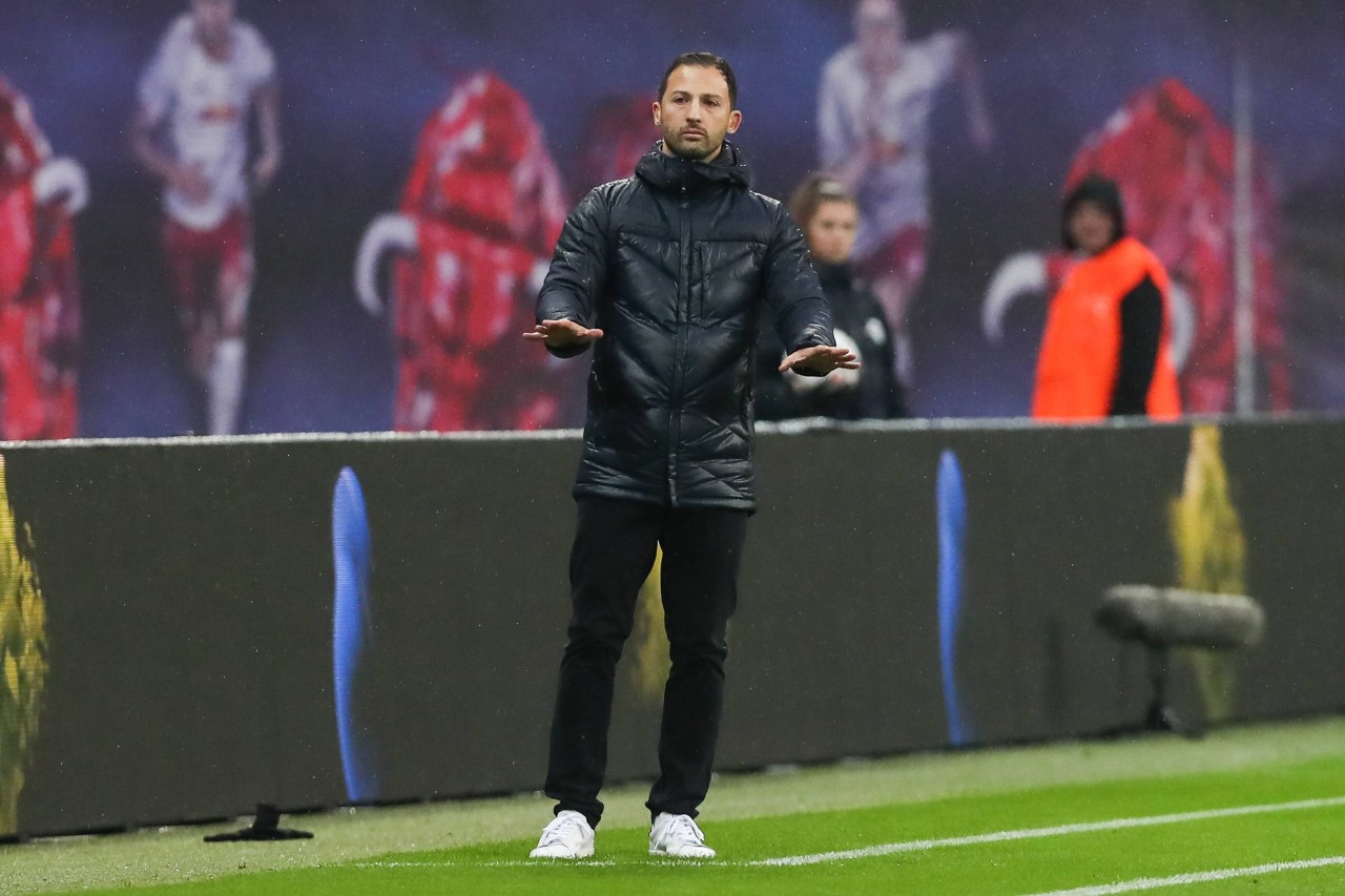 Steht Domenico Tedesco bald regelmäßig in Leipzig an der Seitenlinie?