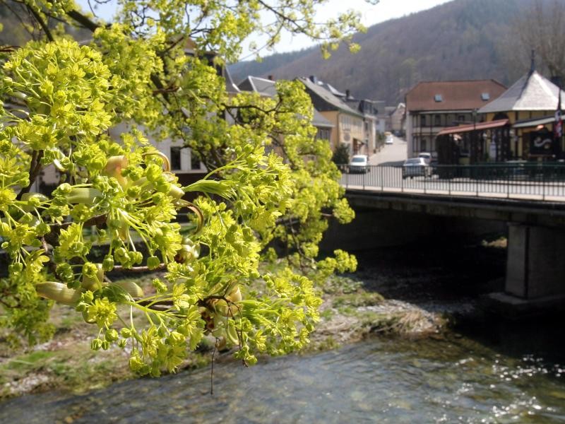 Urlaubstipp in Mitteldeutschland: Schwarzburg im ostthüringischen Schwarzatal ist ein idealer Ausgangspunkt für Ausflüge in das Thüringer Schiefergebirge.