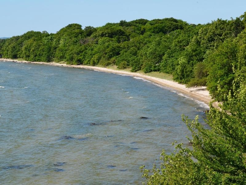 Baden verboten: Vilm ist Teil des Biosphärenreservats Südost-Rügen und ein Naturreservat erster Güte.