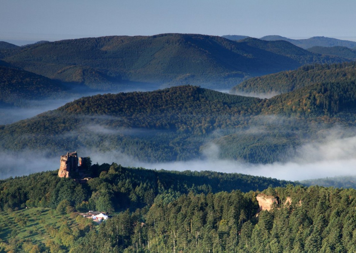 Wandern im Naturpark Nordvogesen.jpg