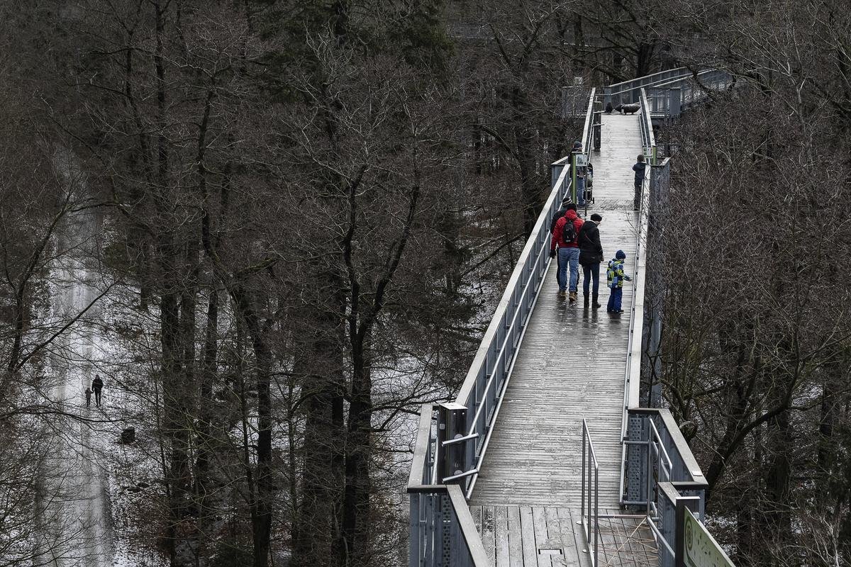 Westharz Baumwipfelpfad