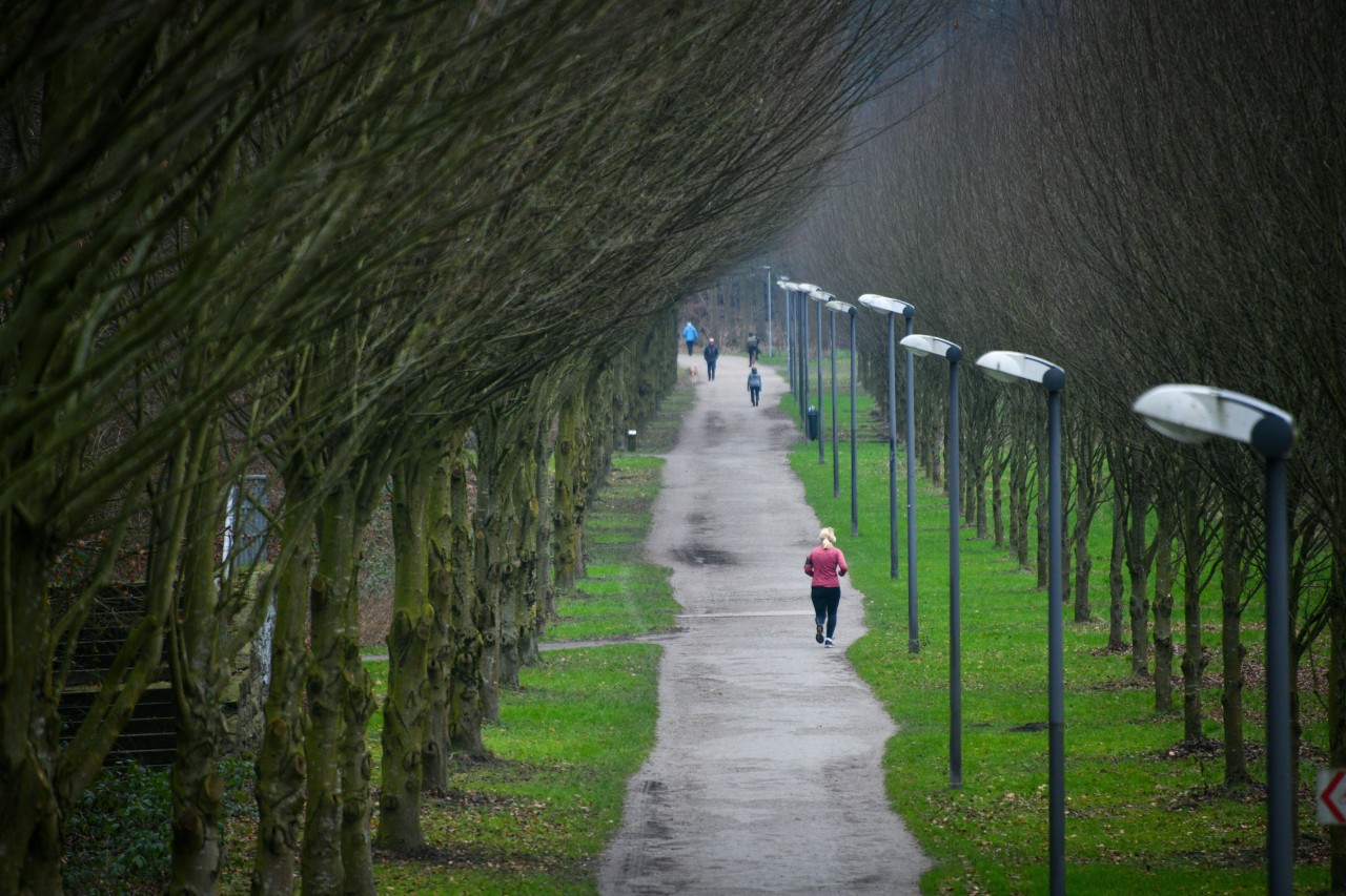 Das Wetter in NRW birgt viel Tristesse. (Symbolbild)