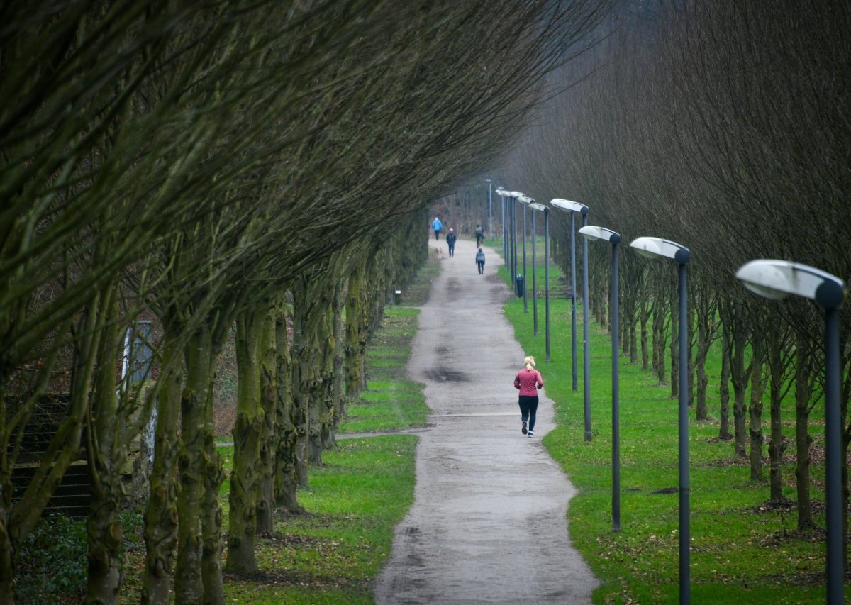 Wetter.jpg