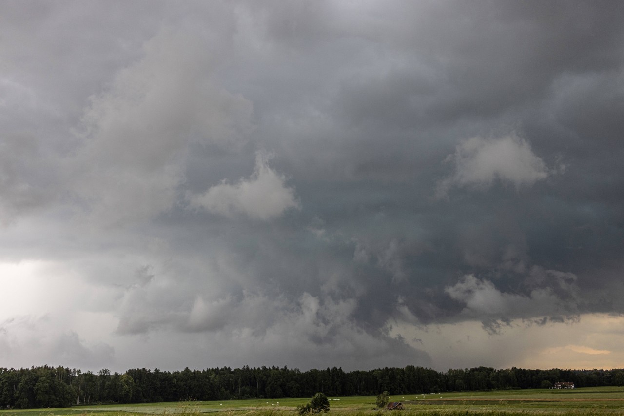 Das Wetter in NRW wird windig (Symbolfoto).