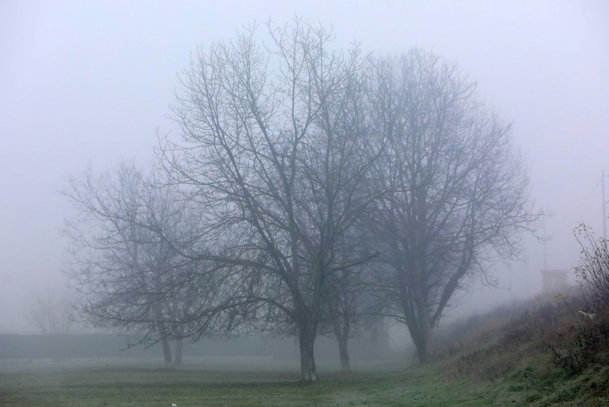 Wetter NRW.jpg