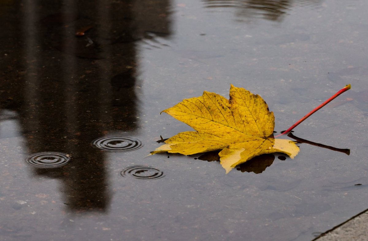 Wetter_NRW.jpg