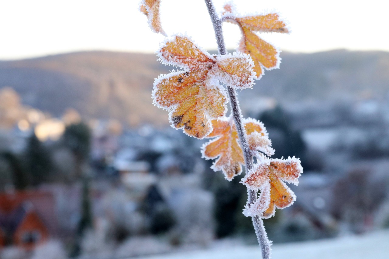 Wetter: In NRW wird es wieder frostig!