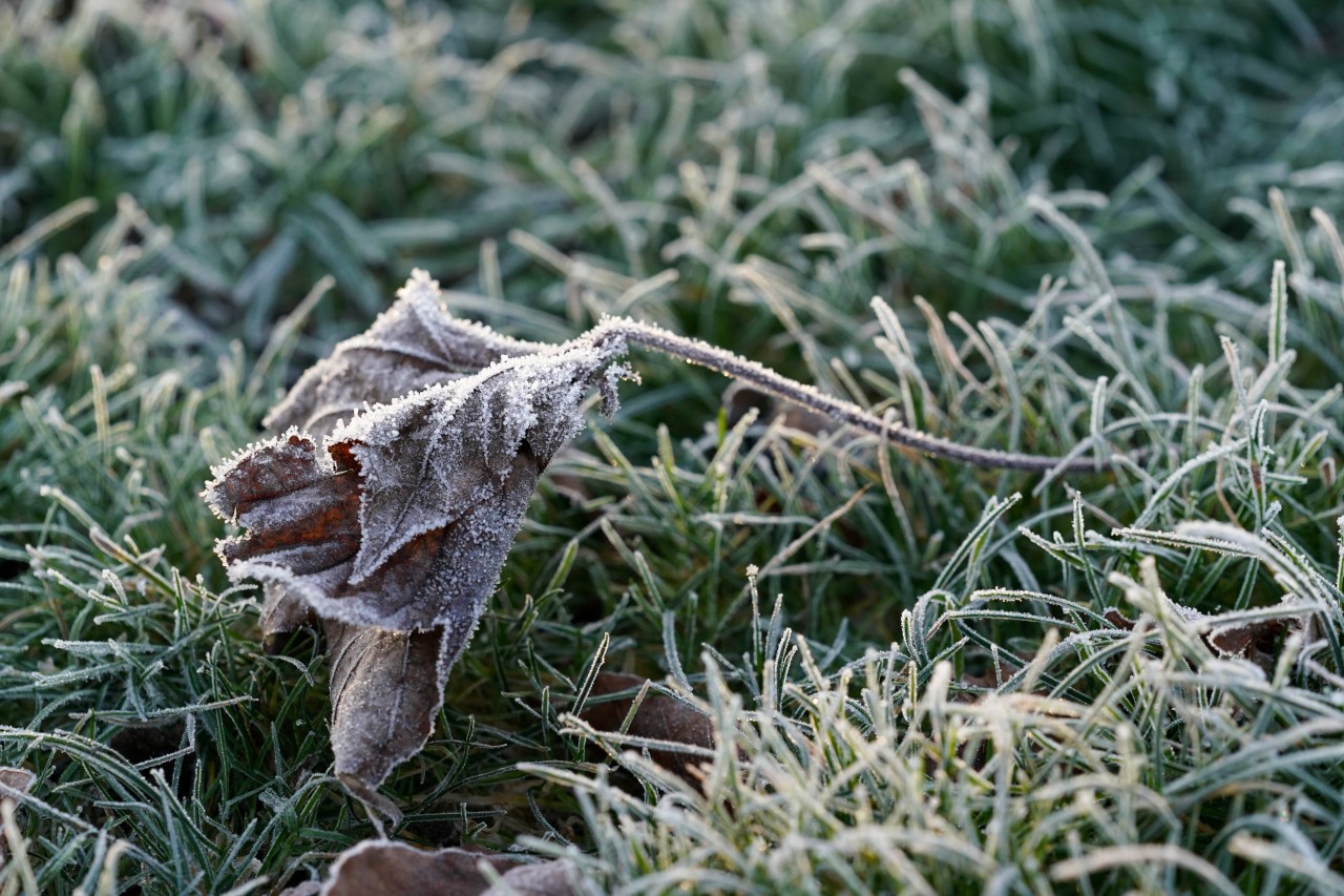 Wetter in NRW: Frost-Warnung für einzelne Städte aus dem Ruhrgebiet. (Symbolbild)