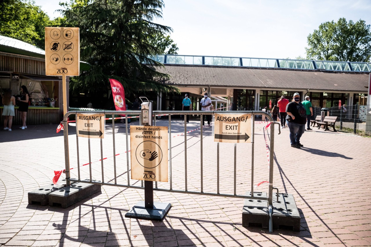 Zoo Dortmund ist zunächst mit Umbau-Maßnahmen beschäftigt. (Archivbild)