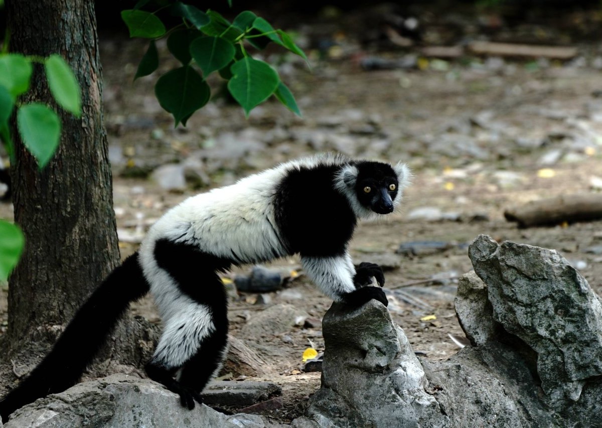 Zoo Duisburg