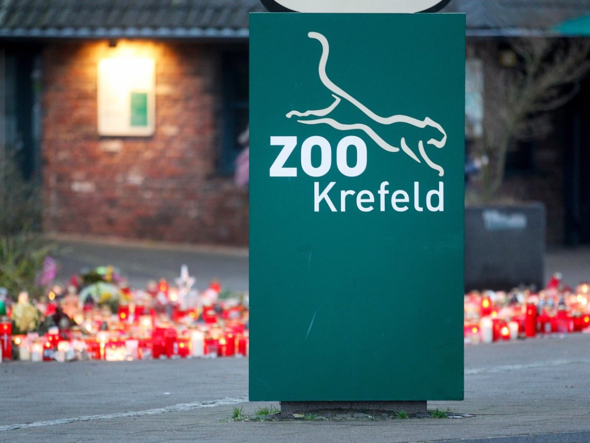 Zoo_Krefeld.jpg