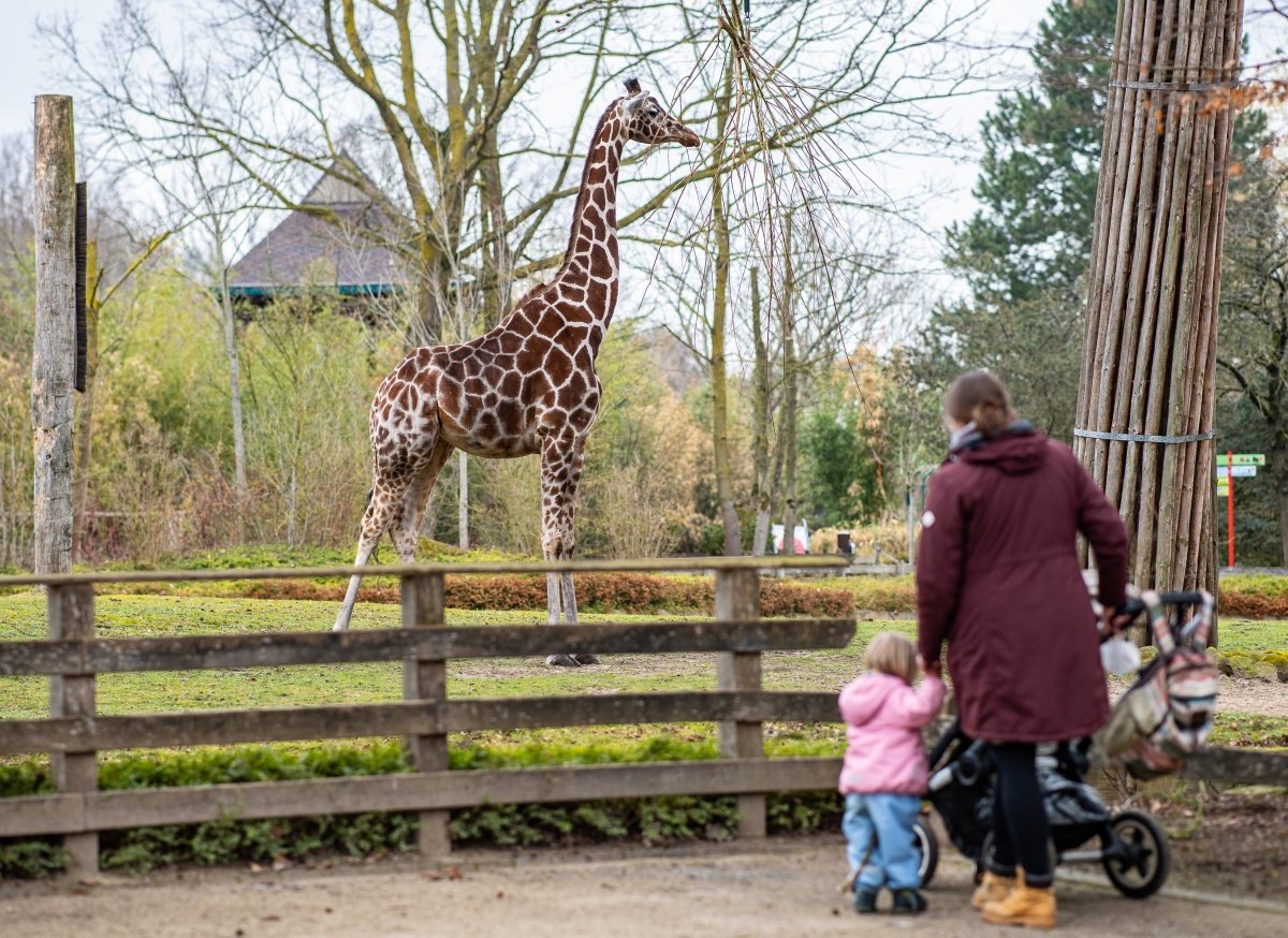 Zoo-Münster.jpg